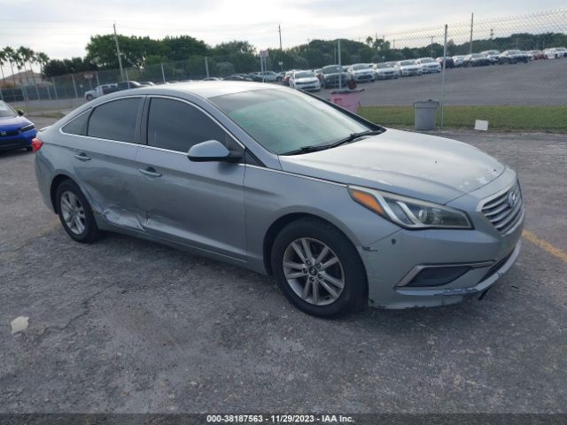 HYUNDAI SONATA 2016 5npe24af6gh395096