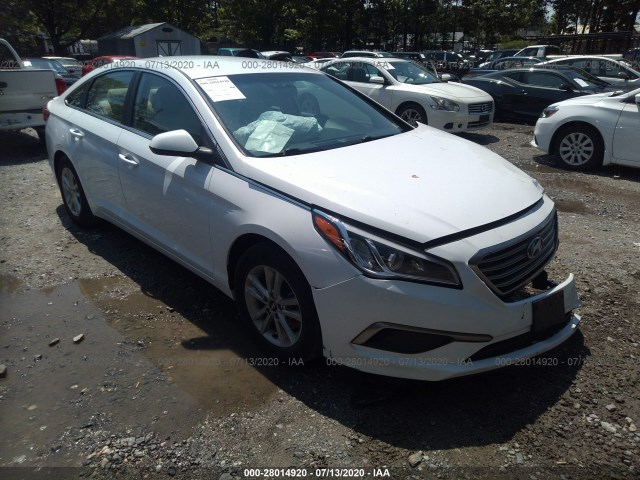 HYUNDAI SONATA 2016 5npe24af6gh401379