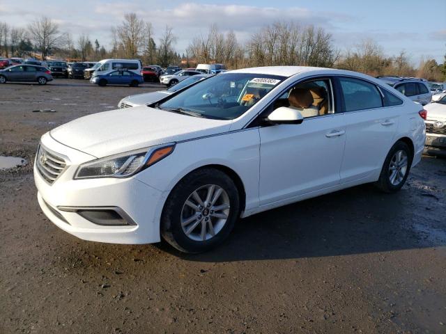 HYUNDAI SONATA 2016 5npe24af6gh402435