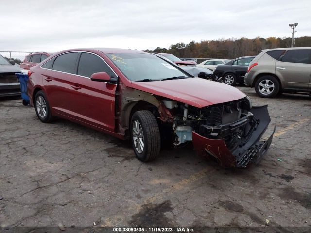 HYUNDAI SONATA 2016 5npe24af6gh402645