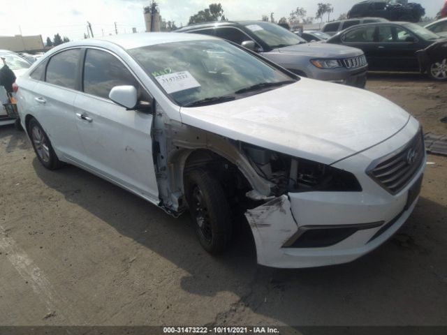 HYUNDAI SONATA 2016 5npe24af6gh403441