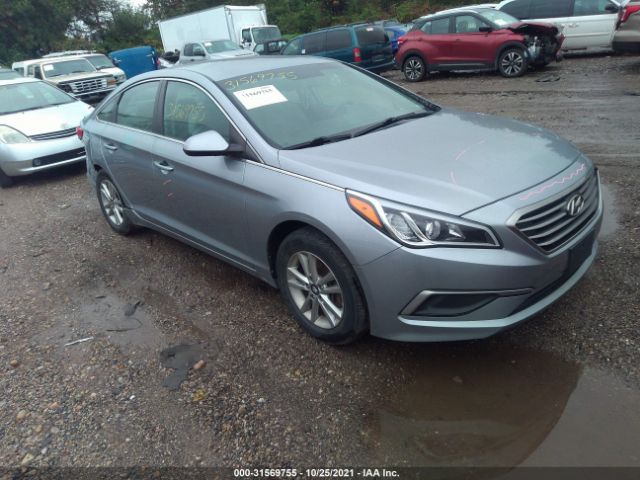 HYUNDAI SONATA 2016 5npe24af6gh404976