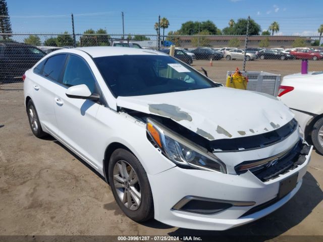 HYUNDAI SONATA 2016 5npe24af6gh405366