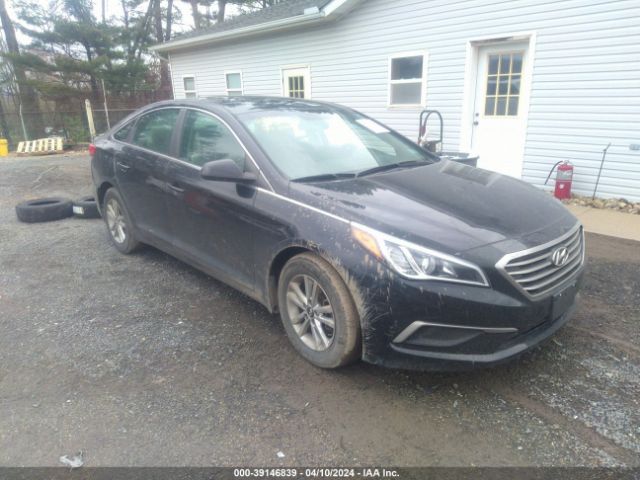 HYUNDAI SONATA 2016 5npe24af6gh406274