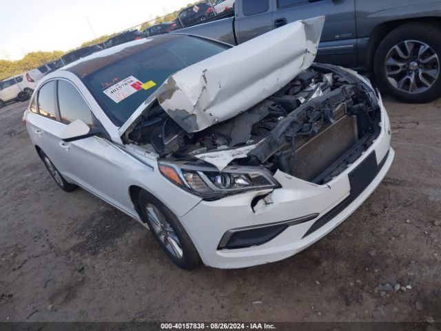 HYUNDAI SONATA 2016 5npe24af6gh408932