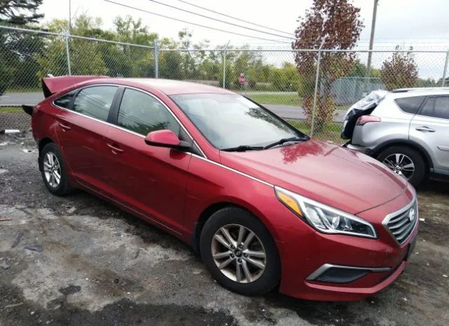 HYUNDAI SONATA 2016 5npe24af6gh426329