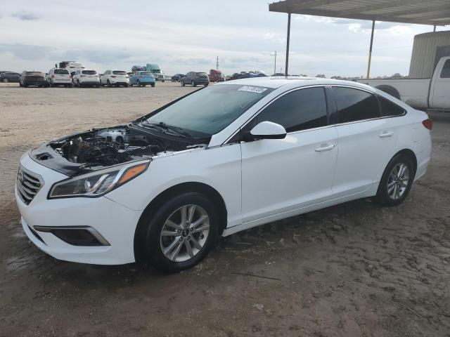 HYUNDAI SONATA 2017 5npe24af6hh446260