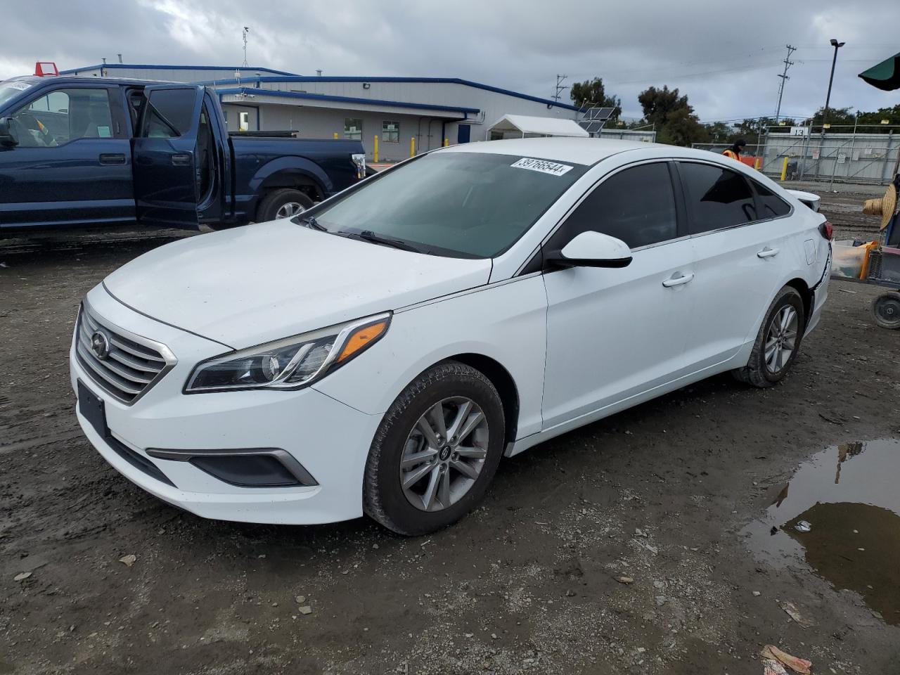 HYUNDAI SONATA 2017 5npe24af6hh452527