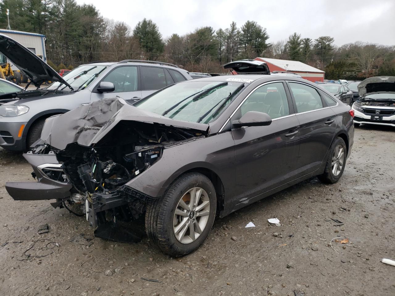 HYUNDAI SONATA 2017 5npe24af6hh459963