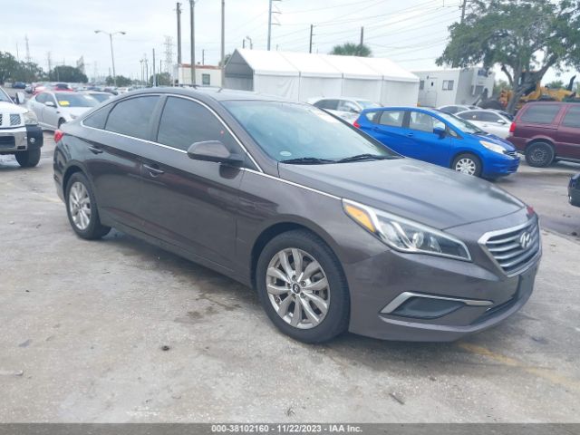 HYUNDAI SONATA 2017 5npe24af6hh492462