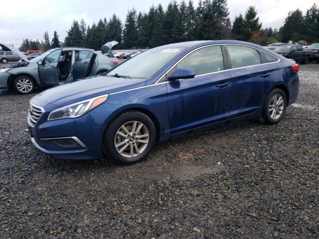 HYUNDAI SONATA 2017 5npe24af6hh509826