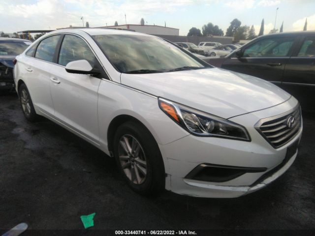 HYUNDAI SONATA 2017 5npe24af6hh513570