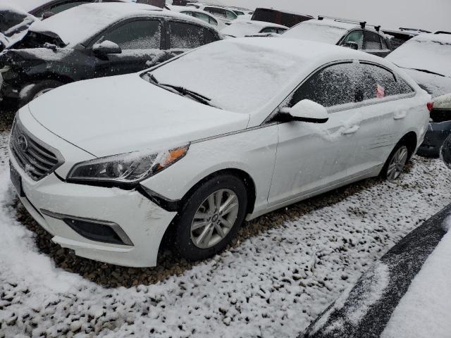 HYUNDAI SONATA SE 2017 5npe24af6hh516338