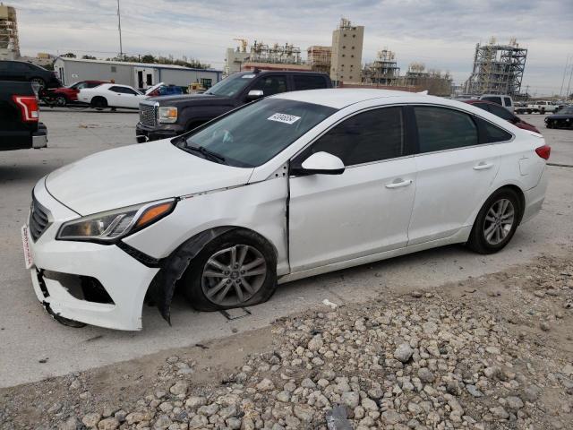 HYUNDAI SONATA 2017 5npe24af6hh520566