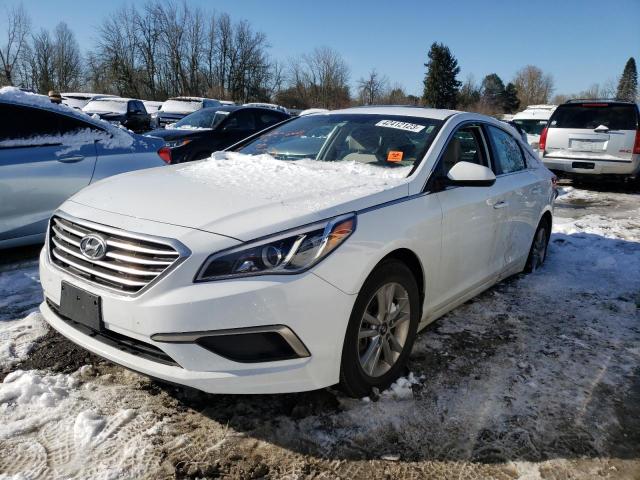 HYUNDAI SONATA 2017 5npe24af6hh525928