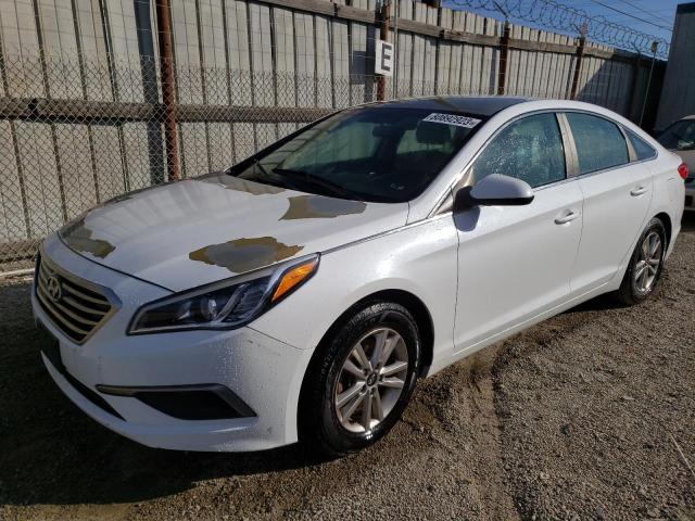 HYUNDAI SONATA 2017 5npe24af6hh530174