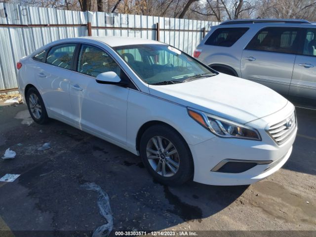 HYUNDAI SONATA 2017 5npe24af6hh535942