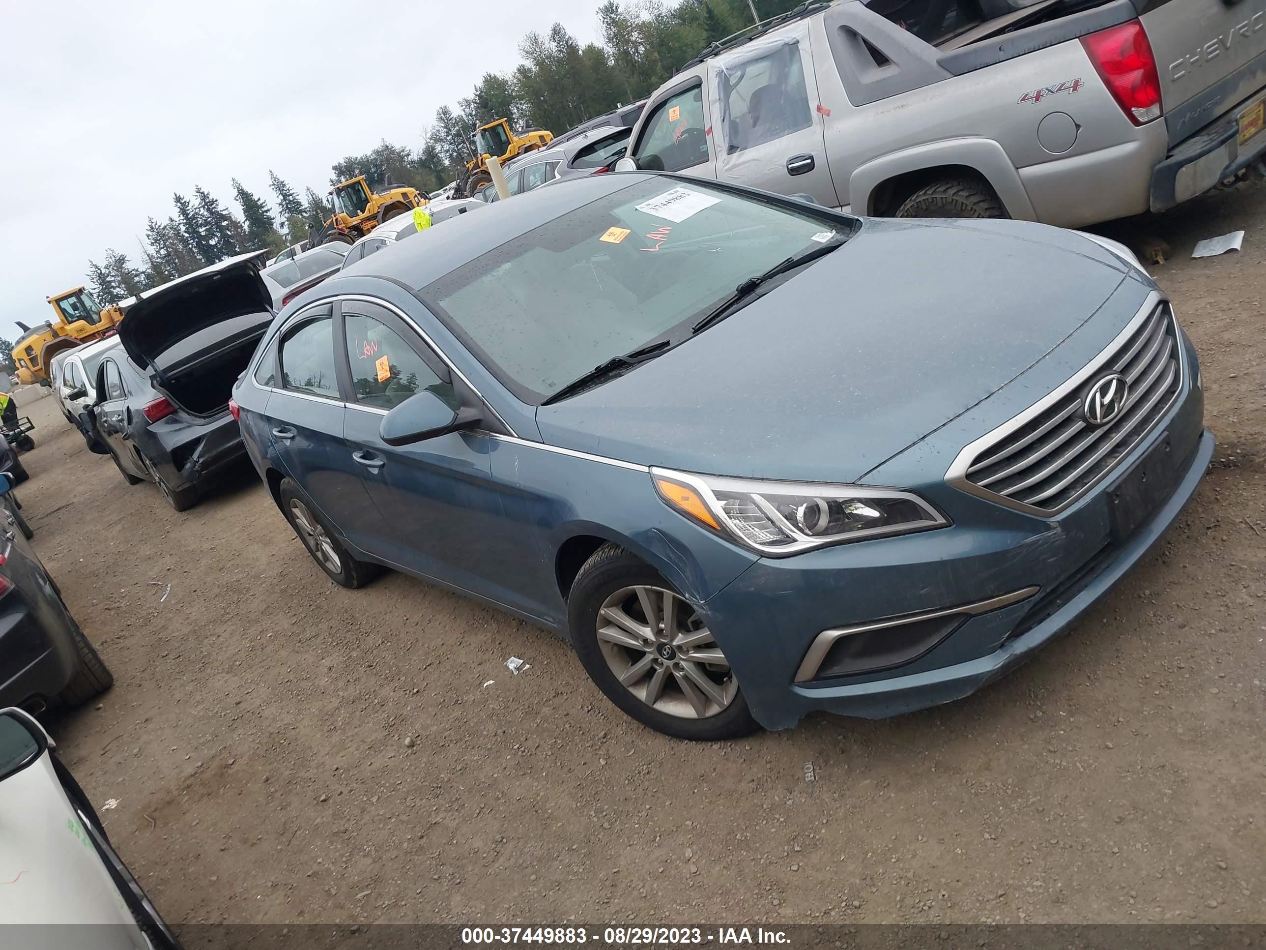 HYUNDAI SONATA 2017 5npe24af6hh548545