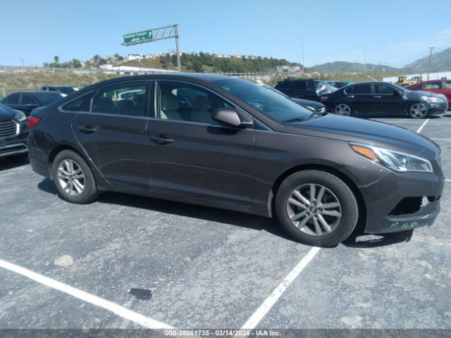 HYUNDAI SONATA 2017 5npe24af6hh555060