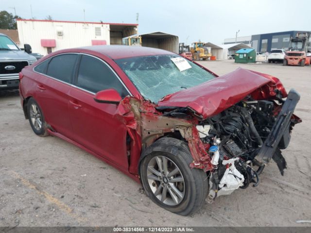 HYUNDAI SONATA 2017 5npe24af6hh555138