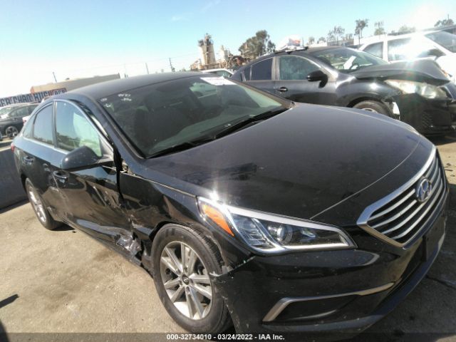 HYUNDAI SONATA 2017 5npe24af6hh555494