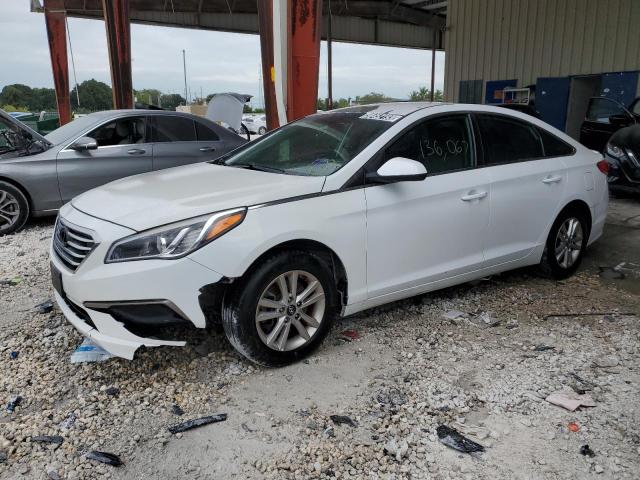 HYUNDAI SONATA SE 2017 5npe24af6hh557357