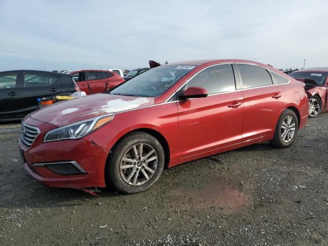 HYUNDAI SONATA SE 2017 5npe24af6hh558640