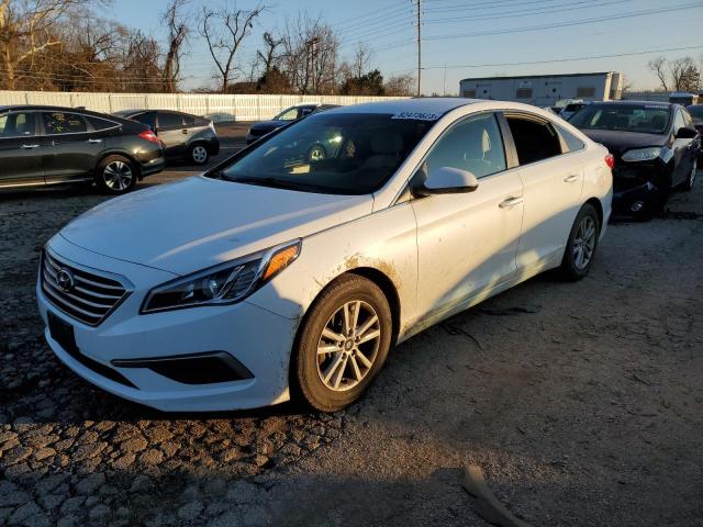 HYUNDAI SONATA 2017 5npe24af6hh560999