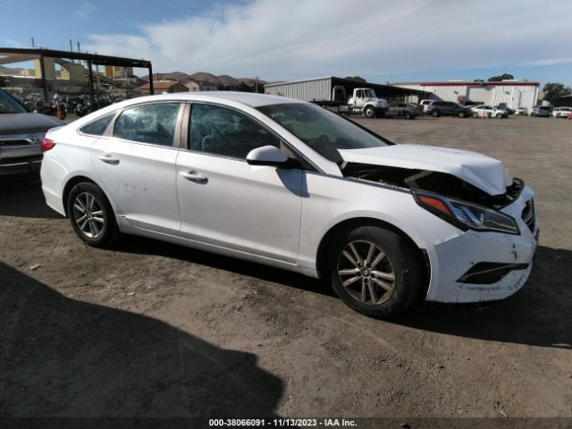 HYUNDAI SONATA 2017 5npe24af6hh570660