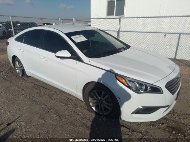 HYUNDAI SONATA 2017 5npe24af6hh572490