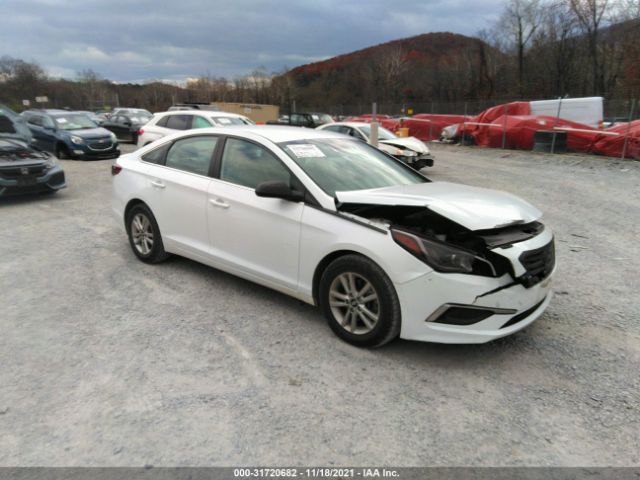 HYUNDAI SONATA 2017 5npe24af6hh576250