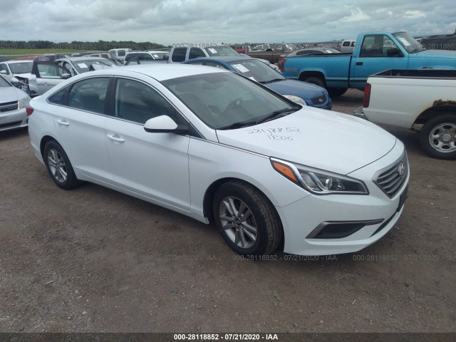 HYUNDAI SONATA 2017 5npe24af6hh576801