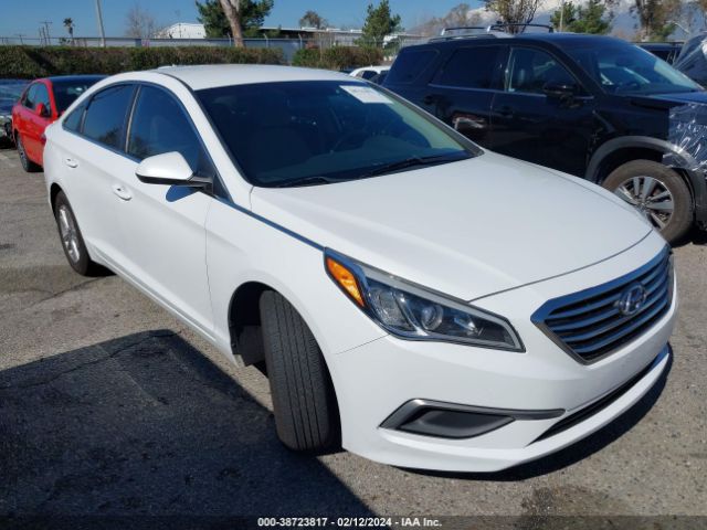 HYUNDAI SONATA 2017 5npe24af6hh588978