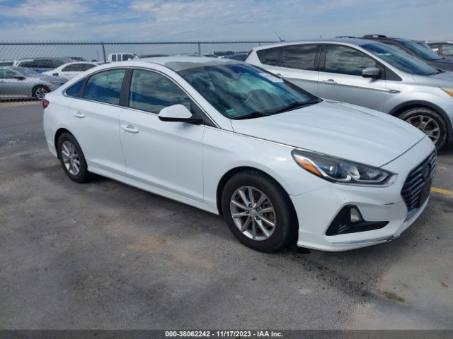 HYUNDAI SONATA 2018 5npe24af6jh607308