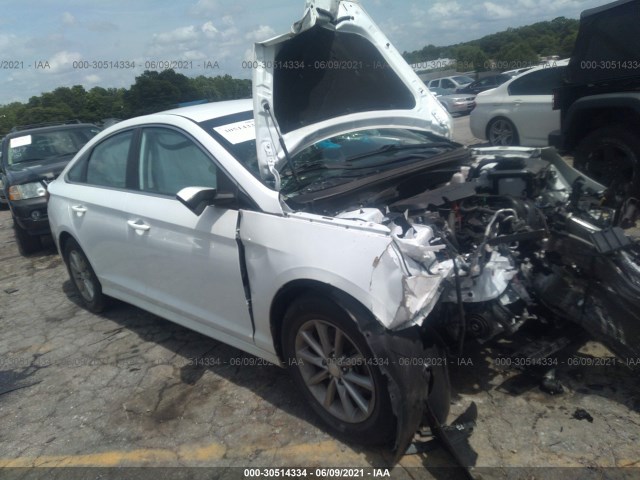 HYUNDAI SONATA 2018 5npe24af6jh614260