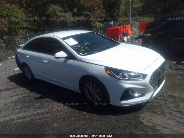 HYUNDAI SONATA 2018 5npe24af6jh622472