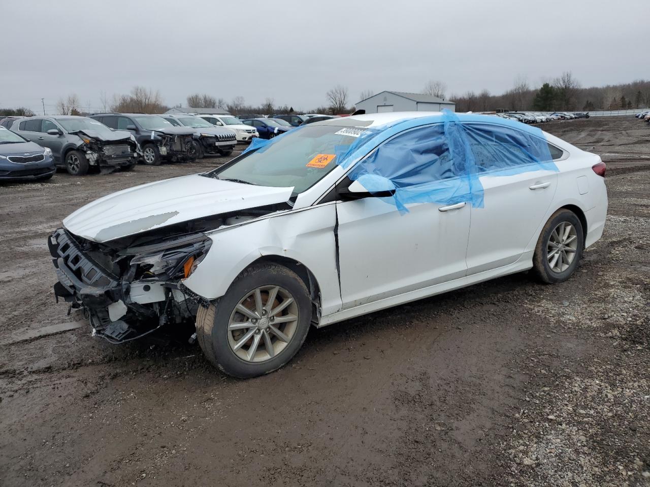 HYUNDAI SONATA 2018 5npe24af6jh655262