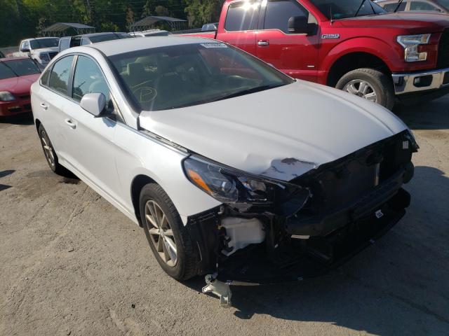 HYUNDAI SONATA SE 2018 5npe24af6jh662468