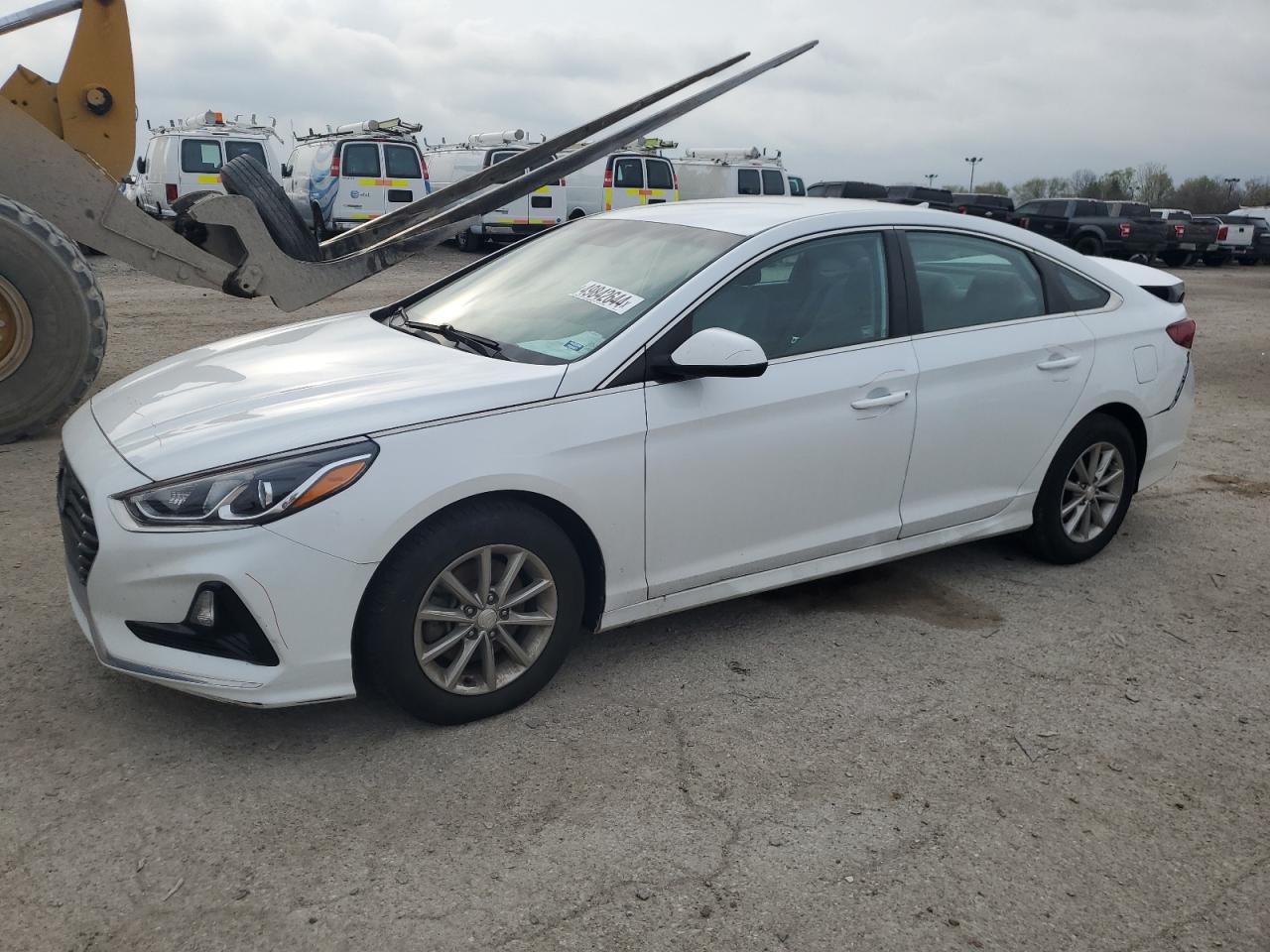 HYUNDAI SONATA 2018 5npe24af6jh682204