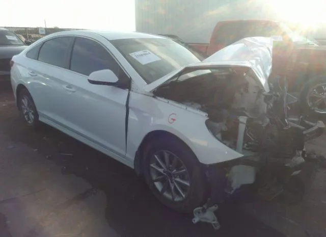 HYUNDAI SONATA 2018 5npe24af6jh703990