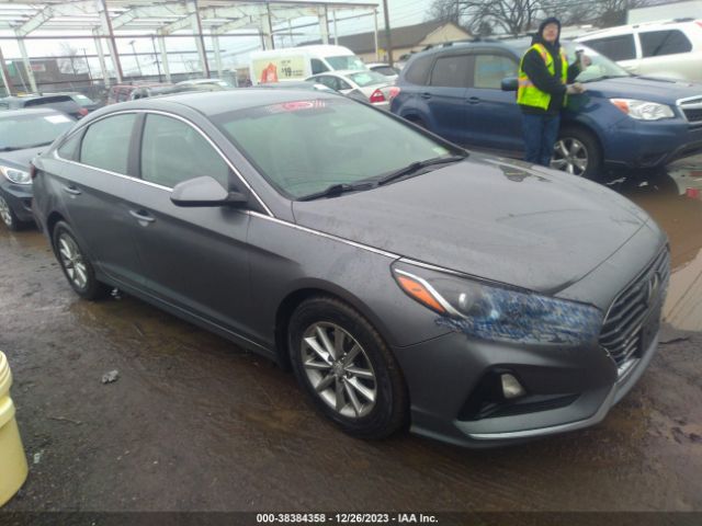 HYUNDAI SONATA 2018 5npe24af6jh704945