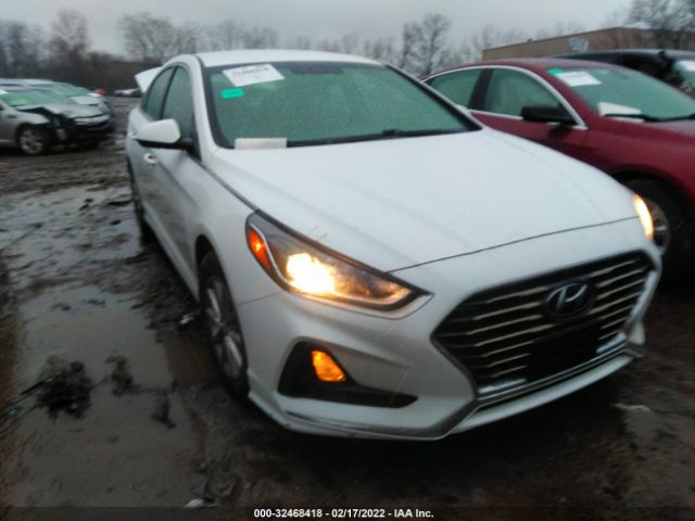 HYUNDAI SONATA 2018 5npe24af6jh706520