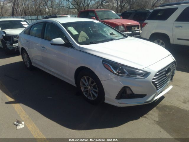 HYUNDAI SONATA 2018 5npe24af6jh726671