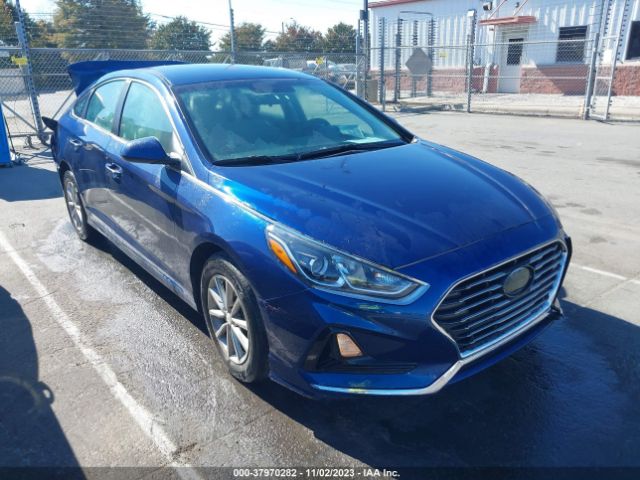 HYUNDAI SONATA 2019 5npe24af6kh729734