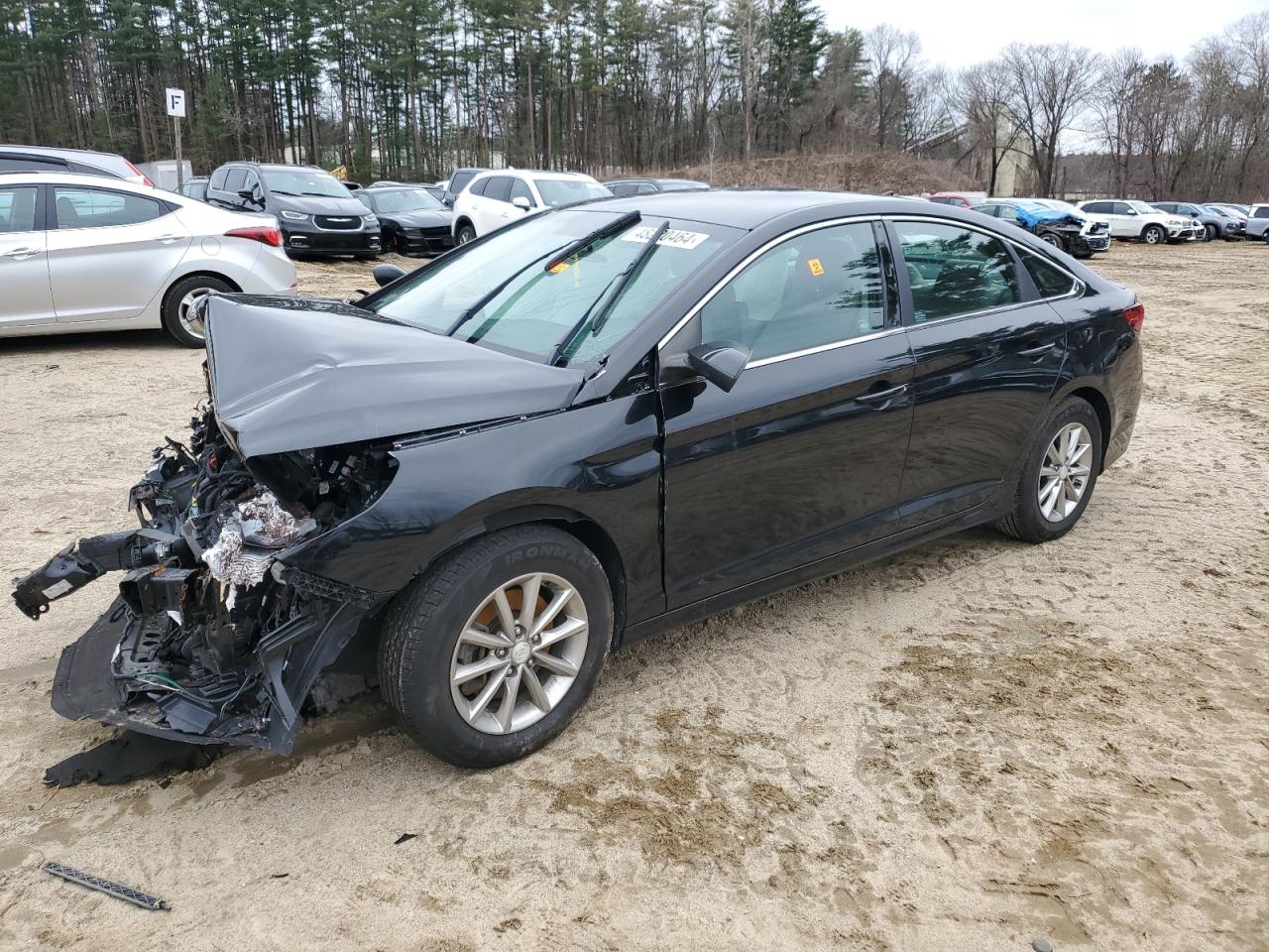 HYUNDAI SONATA 2019 5npe24af6kh731239