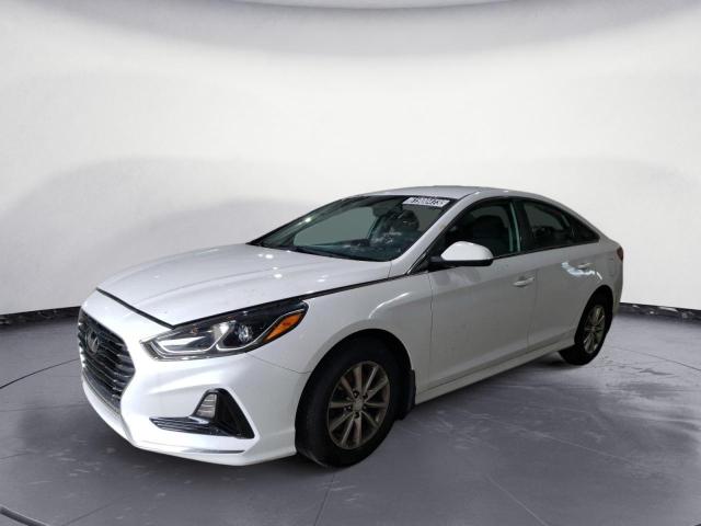 HYUNDAI SONATA SE 2019 5npe24af6kh732164