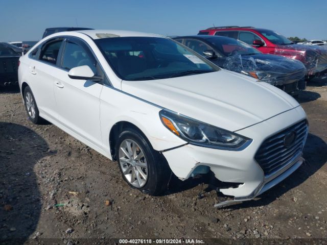 HYUNDAI SONATA 2019 5npe24af6kh732505