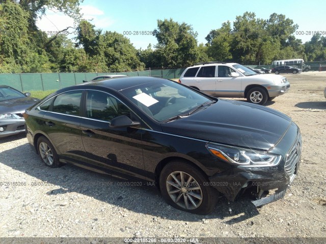 HYUNDAI SONATA 2019 5npe24af6kh734285