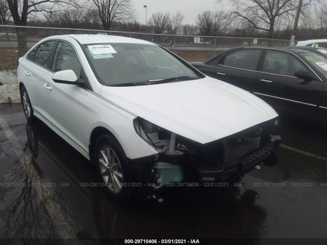 HYUNDAI SONATA 2019 5npe24af6kh734917