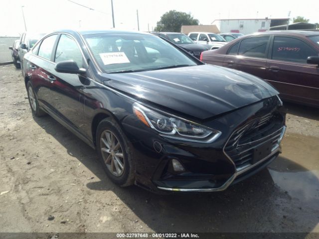 HYUNDAI SONATA 2019 5npe24af6kh735095